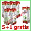 Promotie anticelulitic 5+1 gratis extract gliceric 50 ml - ad natura -