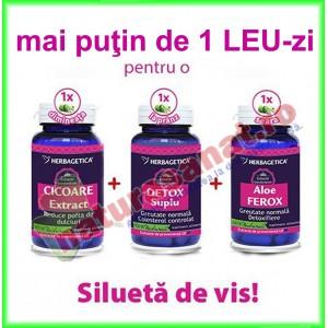 Pachet Promo Slabeste cu mai putin de 1 Leu pe Zi ( Cicoare extract + Detox Suplu + Aloe Ferox ) - Herbagetica