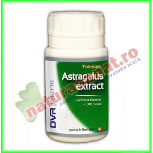 Astragalus Extract 60 capsule - DVR Pharm