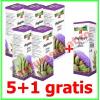 Promotie anghinare 5+1 gratis extract gliceric 50 ml - ad natura - ad