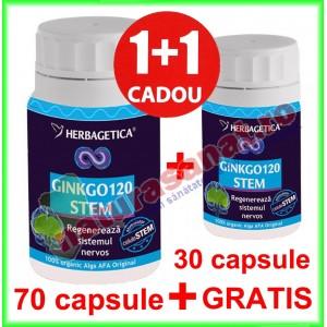 Ginkgo 120 Stem PROMOTIE 70+30 capsule - Herbagetica