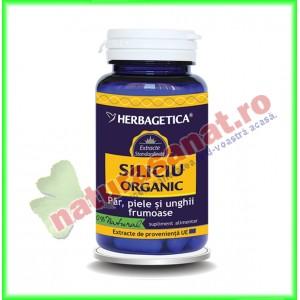 Siliciu organic 30 capsule cu minim 10,5mg siliciu organic pur - Herbagetica