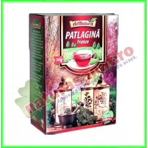 Ceai Patlagina Frunze 50 g - Ad Natura