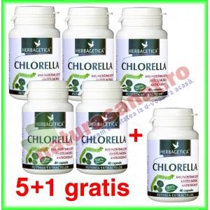 PROMOTIE Chlorella 410mg 40 capsule 5+1 gratis - Herbagetica