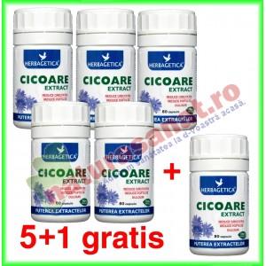 Cicoare extract 80 capsule PROMOTIE 5+1 gratis - Herbagetica