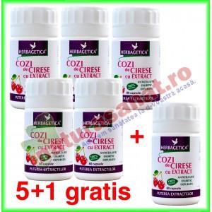 Cozi de Cirese cu Extract 80 capsule PROMOTIE 5+1 gratis - Herbagetica