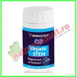Hepatic Stem 70 capsule - Herbagetica