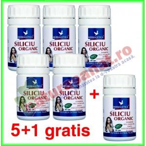 PROMOTIE Siliciu organic 80 capsule 5+1 gratis - Herbagetica