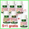 Promotie chitosan 400mg 40 capsule 5+1 gratis - herbagetica