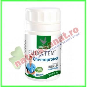 FLUXXTEM Chemoprotect 80 capsule - Herbagetica