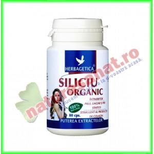 Siliciu organic 40 capsule cu minim 10,5mg siliciu organic pur - Herbagetica