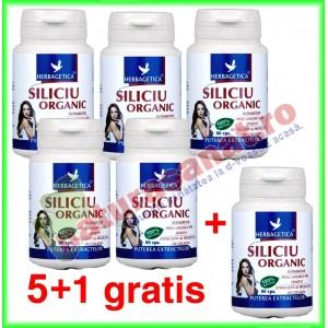 Siliciu organic 40 capsule PROMOTIE 5+1 gratis - Herbagetica