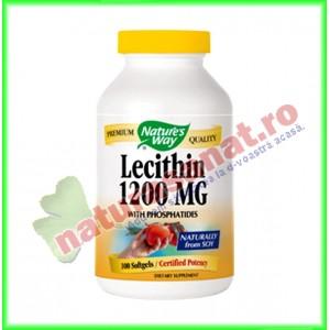 Lecithin 1200mg 100 capsule - Nature's Way