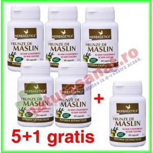 PROMOTIE Frunze de Maslin 40 capsule 5+1 gratis - Herbagetica