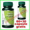 Siliciu vegetal promotie 60+30 capsule gratis - dvr pharm