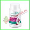 Echinacea extract 30 capsule - rotta natura