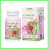 Echinacea forte 60 comprimate - dacia plant