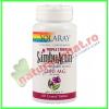 Sambu actin triple strenght black elderberry 1200 mg (