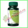 Siliciu vegetal 60 capsule - dvr pharm