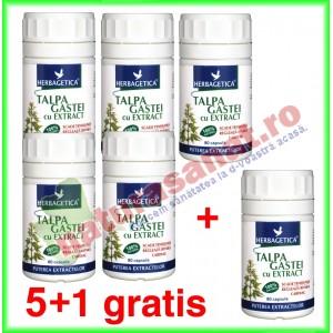Talpa Gastei Extract 80 capsule PROMOTIE 5+1 gratis - Herbagetica