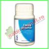 Cartilaj de rechin 60 capsule - dvr pharm