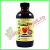 Liquid iron (fier lichid) 10mg 118,50ml (gust de fructe) - childlife