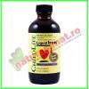 Liquid iron (fier lichid) 10mg 118,50ml (gust de