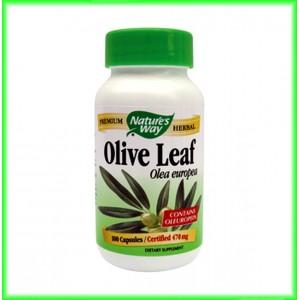 Olive Leaf (frunze de maslin) 100 capsule - Nature's Way