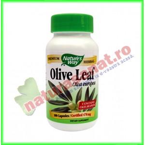 Olive Leaf (frunze de maslin) 60 capsule - Nature's Way - Secom