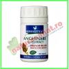 Anghinare cu Extract 70 capsule - Herbagetica