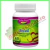 Obecol 60 tablete - Indian Herbal