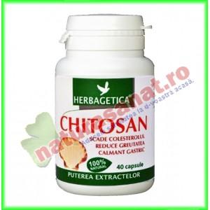 Chitosan 400mg 40 capsule - Herbagetica