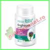 Anghinare extract 30 capsule - rotta natura