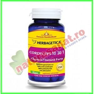 Cordyceps 10/30/1 Ciuperca Tibetana Forte 60 capsule - Herbagetica