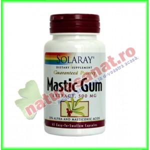 Mastic Gum 45 capsule - Solaray - Secom