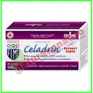 Celadrin Extract Forte 500mg 60 capsule - Damar General Trading