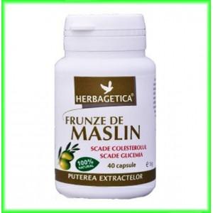 Frunze de Maslin 40 capsule - Herbagetica