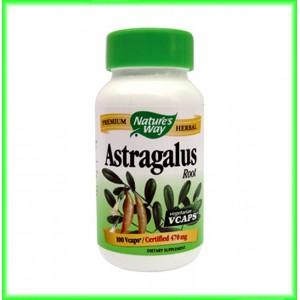 Astragalus 100 capsule - Nature's Way