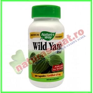 Wild Yam 425mg 100 capsule - Nature's Way - Secom