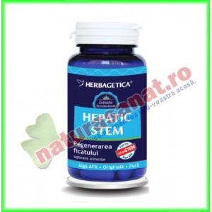 Hepatic Stem 30 capsule - Herbagetica