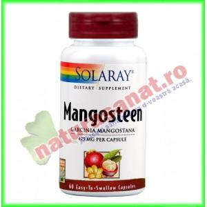 Mangosteen Extract 500mg 60 capsule vegetale - Solaray - Secom