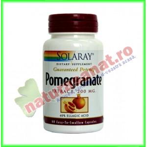 Pomegranate (extract rodie) 60 capsule - Solaray - Secom