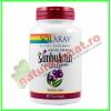 Sambu Actin Black Elderberry 200 mg (Extract Fructe Soc) 60 comprimate pentru supt - Solaray (Secom)