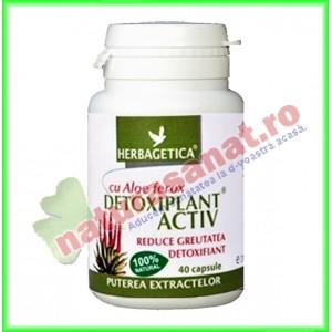 Detoxiplant Activ cu Aloe Ferox 40 capsule - Herbagetica