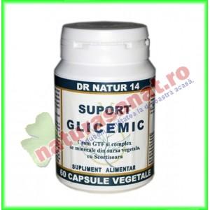 Suport Glicemic 60 capsule DR NATUR