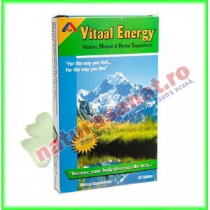 Vitaal Energy 30 capsule - American Lifestyle