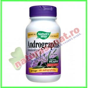 Andrographis SE 60 capsule vegetale - Nature's Way