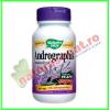 Andrographis SE 60 capsule vegetale - Nature's Way