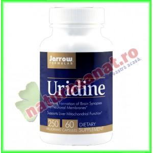 Uridine 250 mg 60 capsule - Jarrow Formulas - Secom