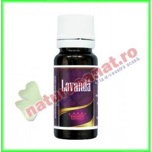 Lavanda Ulei Volatil 10 ml - Andiluc